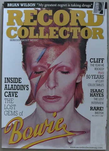 RECORD COLLECTOR